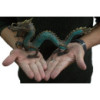 Fengshui - Dragon Med avec boule - 27 cm