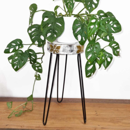 Support pour plantes en bois Albasia - Blanchi à la chaux