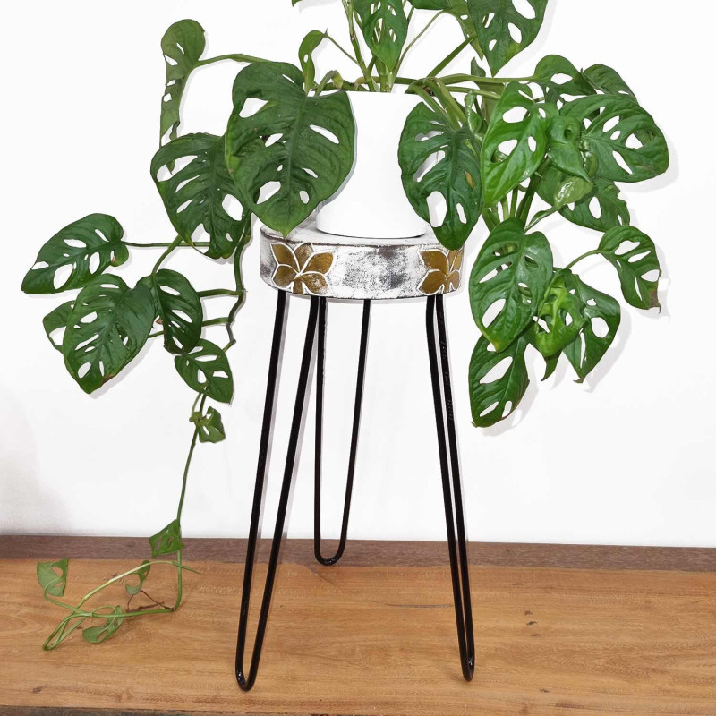 Support pour plantes en bois Albasia - Blanchi à la chaux