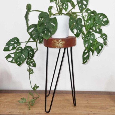Support pour plantes en bois Albasia - Blanchi à la chaux