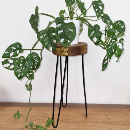 Support à plantes en bois Albasia - Détails naturels et dorés
