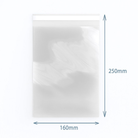 Sac Poly-Prop 160x250mm refermable