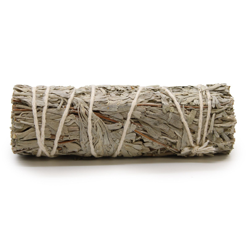 Bâton de maculage - Sauge bleue 10 cm