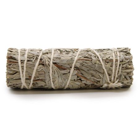 Bâton de maculage - Sauge bleue 10 cm