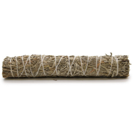 Bâton de maculage - Sauge bleue 22,5 cm