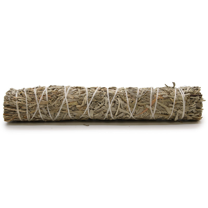 Bâton de maculage - Sauge bleue 22,5 cm