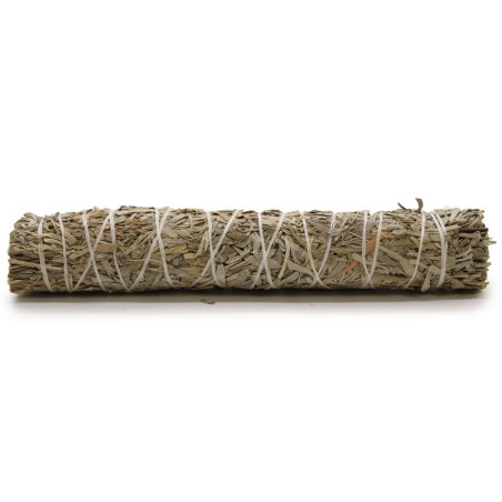 Bâton de maculage - Sauge bleue 22,5 cm