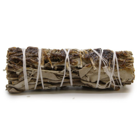 Bâton de maculage - Sauge blanche et résine de copal 10 cm