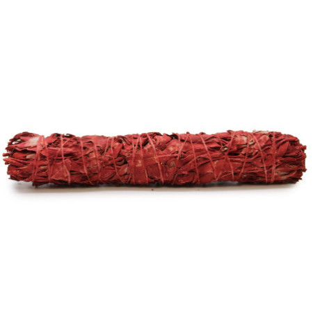 Bâton de maculage - Sauge de sang de dragon 22,5 cm