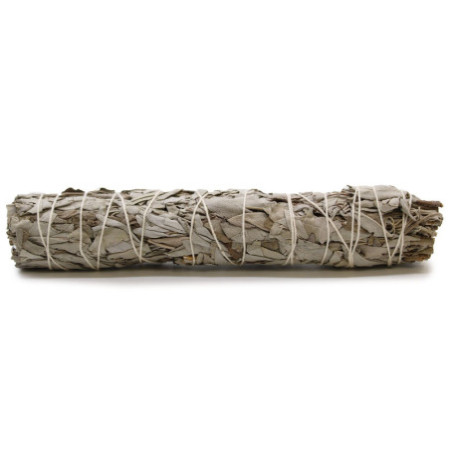 Bâton de maculage - Sauge blanche 22,5 cm