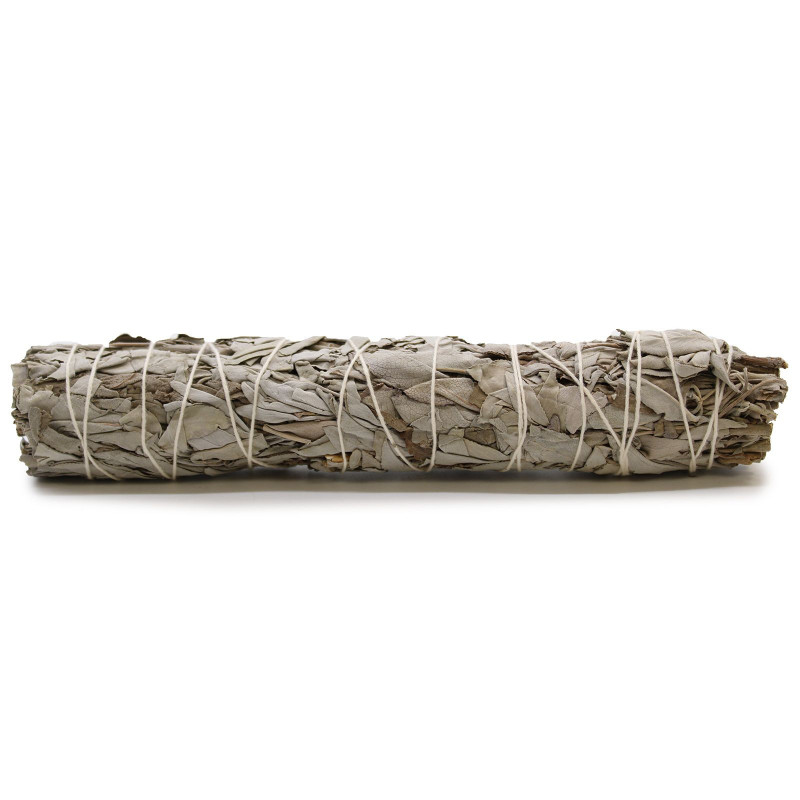 Bâton de maculage - Sauge blanche 22,5 cm