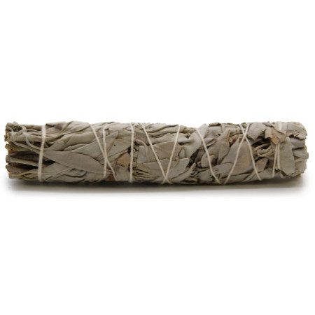 Bâton de maculage - Sauge blanche 15 cm