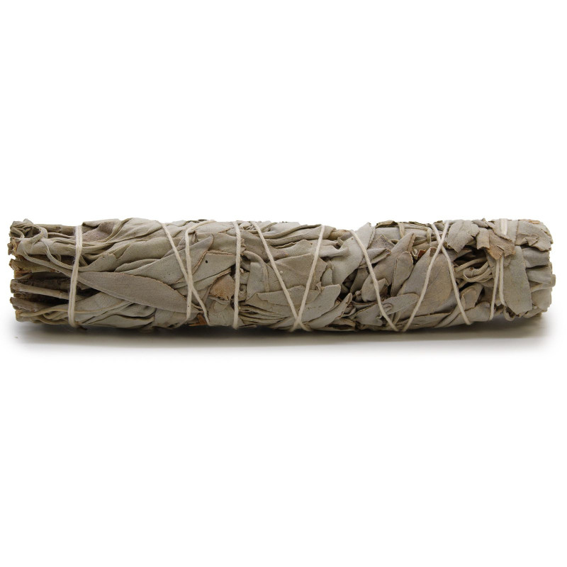 Bâton de maculage - Sauge blanche 15 cm