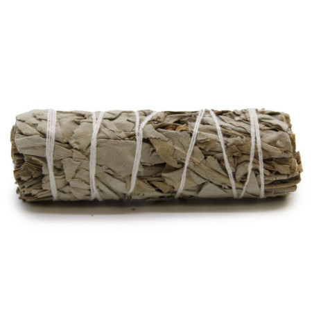 Bâton de maculage - Sauge blanche 10 cm