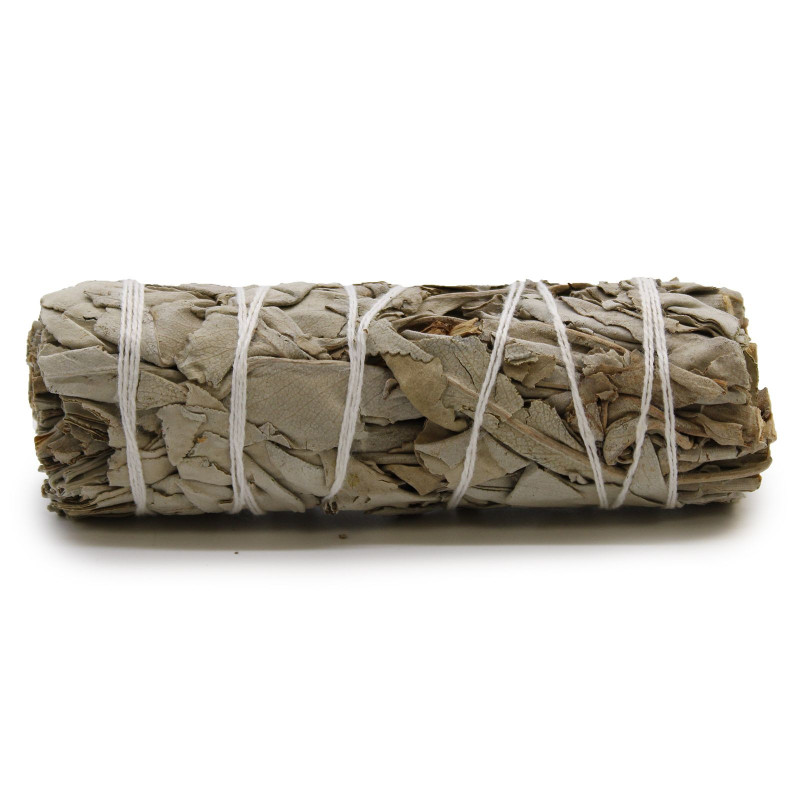 Bâton de maculage - Sauge blanche 10 cm