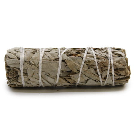 Bâton de maculage - Sauge blanche 10 cm