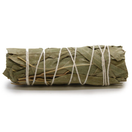 Smudge Stcik - Sauge blanche et eucalyptus 10 cm