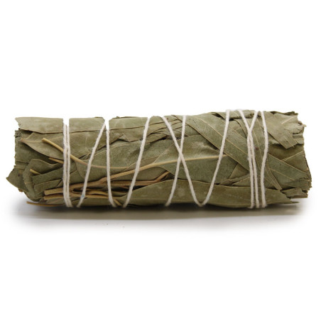 Smudge Stcik - Sauge blanche et eucalyptus 10 cm