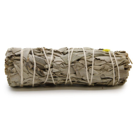 Bâton de maculage - Sauge blanche et sauge bleue 10 cm
