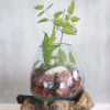 Verre fondu sur bois avec support - Grand bol
