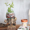 Verre fondu sur bois avec support - Grand bol