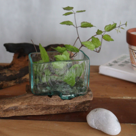 Cuve en verre fondu sur bois avec support - Petit bol