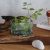 Cuve en verre fondu sur bois avec support - Petit bol