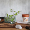 Cuve en verre fondu sur bois avec support - Petit bol