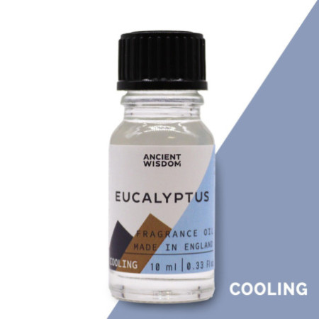 Huile parfumée à l'eucalyptus 10 ml