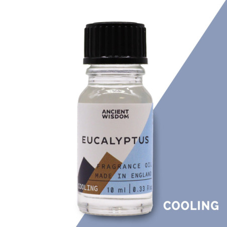 Huile parfumée à l'eucalyptus 10 ml