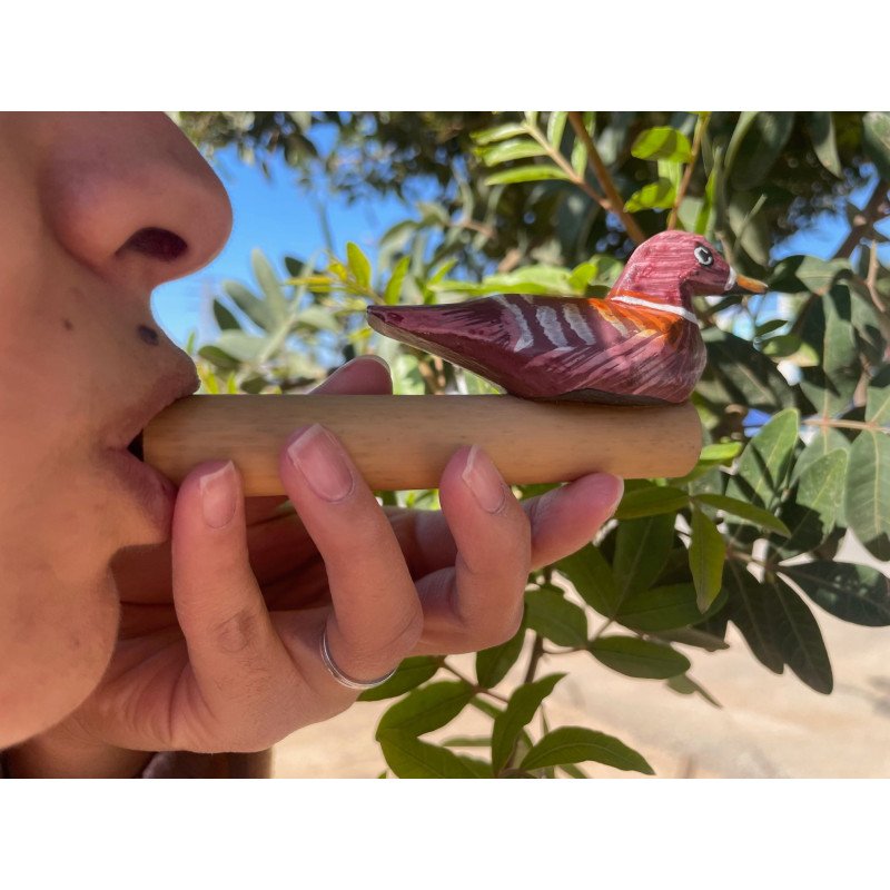Sifflet à oiseaux simple en bambou