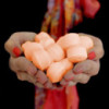 Boîte de 1,3 kg de pilules rafraîchissantes à l'orange fraîche