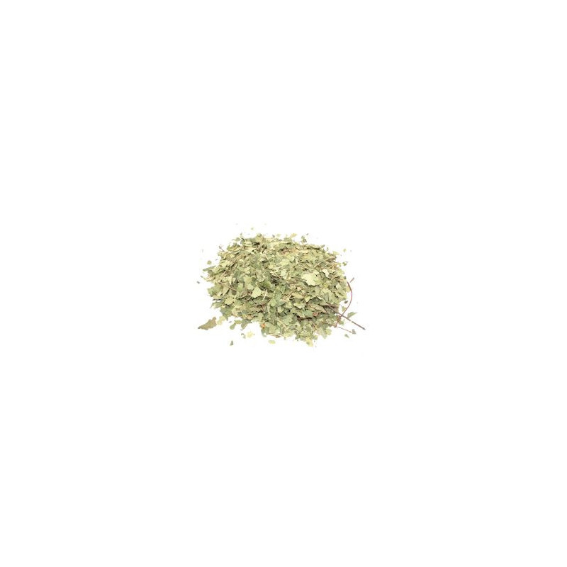 Bouleau (feuille coupée) 1 kg