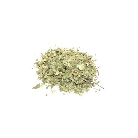 Bouleau (feuille coupée) 1 kg