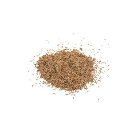 Carvi (grain) 1 kg