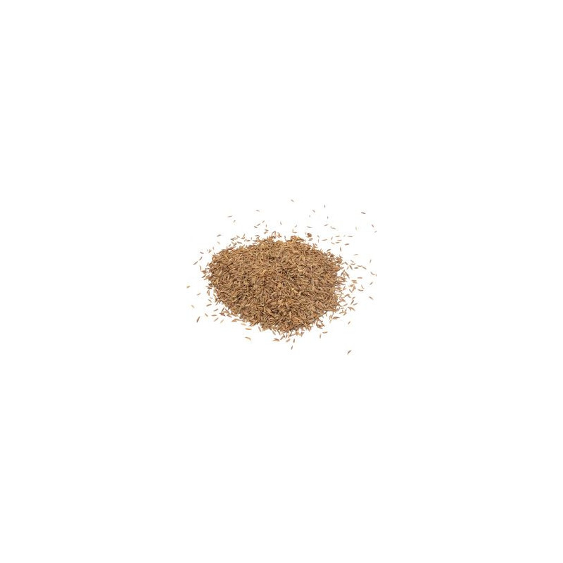 Carvi (grain) 1 kg