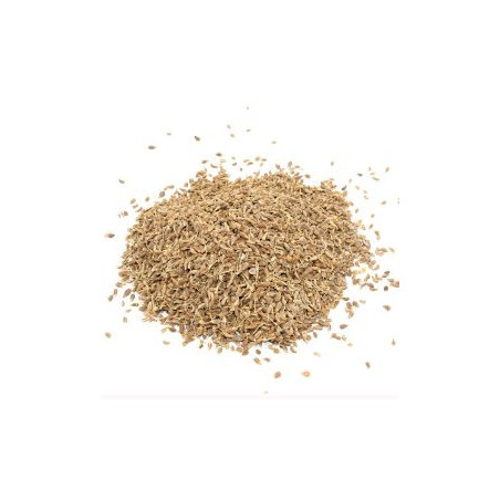 Anis (grain) 1Kg