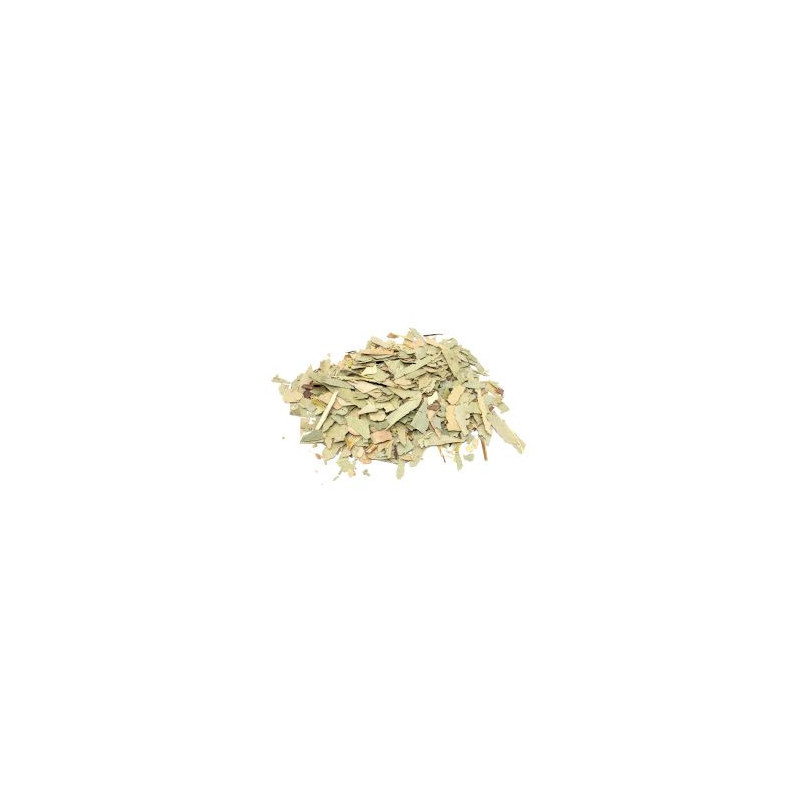 Eucalyptus (feuille coupée) 1Kg