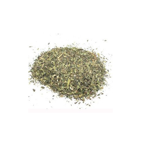 Ortie verte (feuille coupée) 1Kg