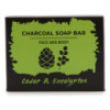Savon au charbon 85 g - Eucalyptus et bois de cèdre