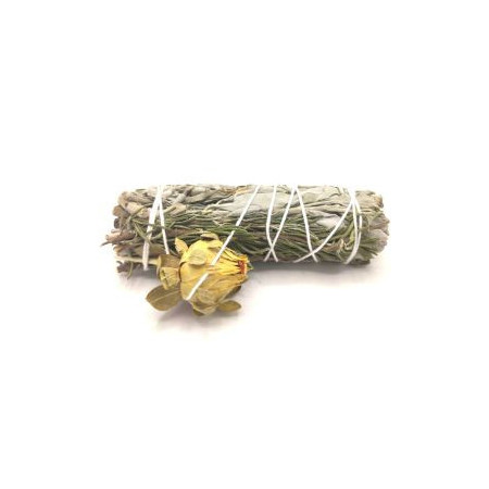 Bâton de purification - Sauge paisible 10 cm