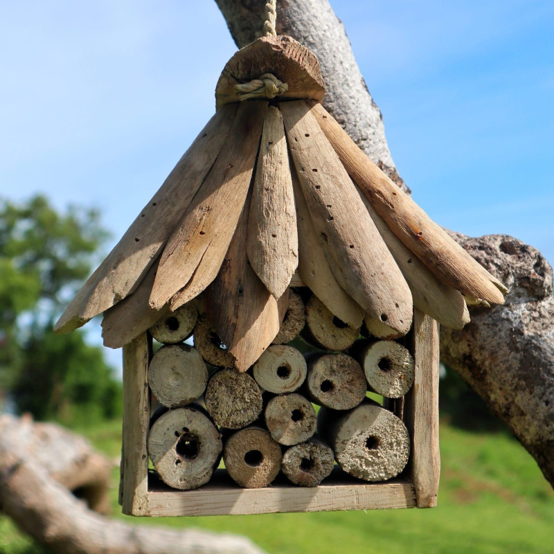 Boîte à abeilles et insectes en bois flotté