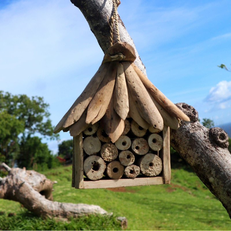 Boîte à abeilles et insectes en bois flotté