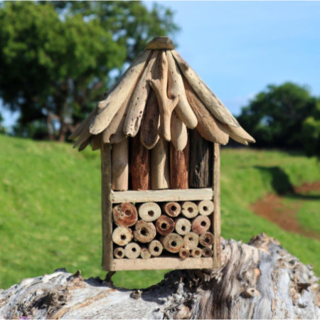 Boîte double abeilles et insectes en bois flotté
