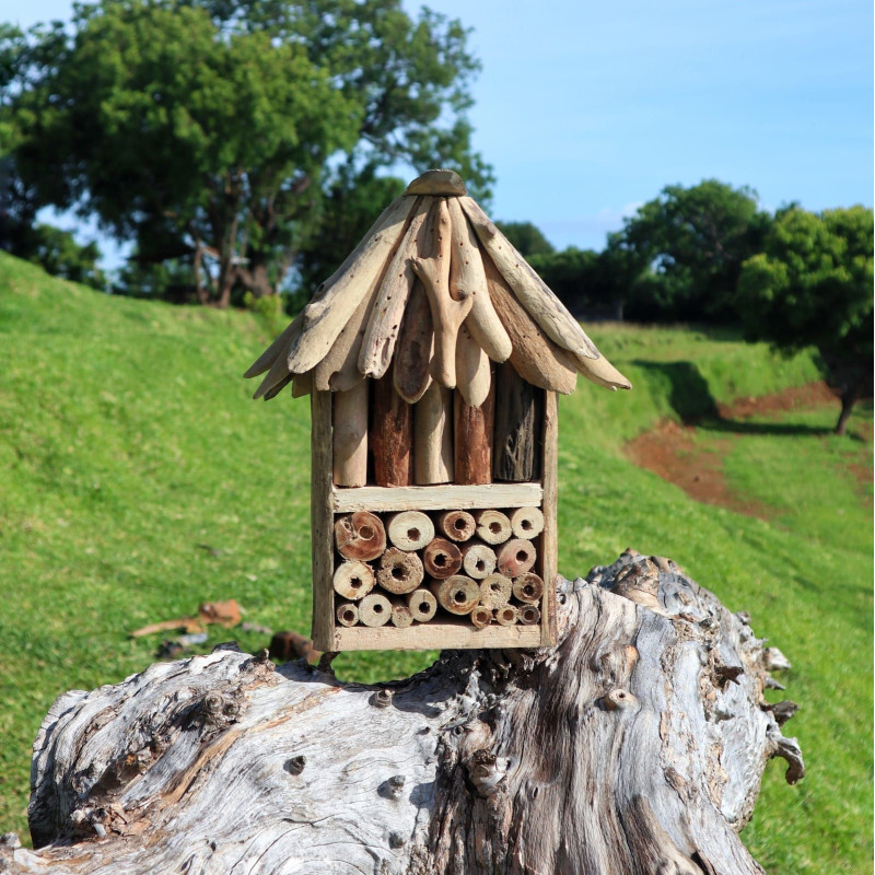 Boîte double abeilles et insectes en bois flotté