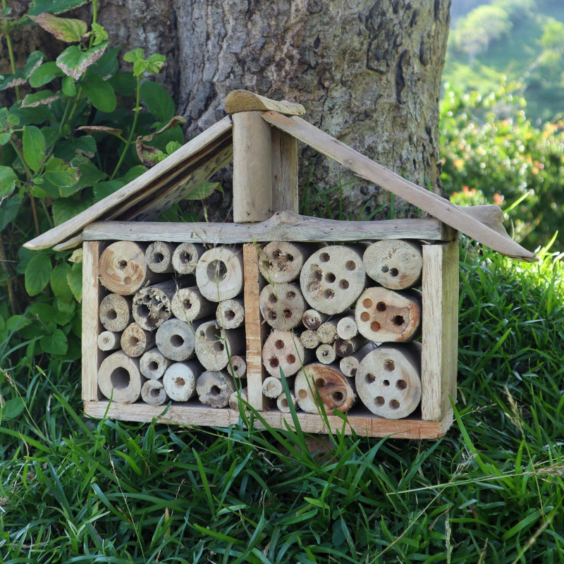 Nichoir à abeilles et insectes en bois flotté
