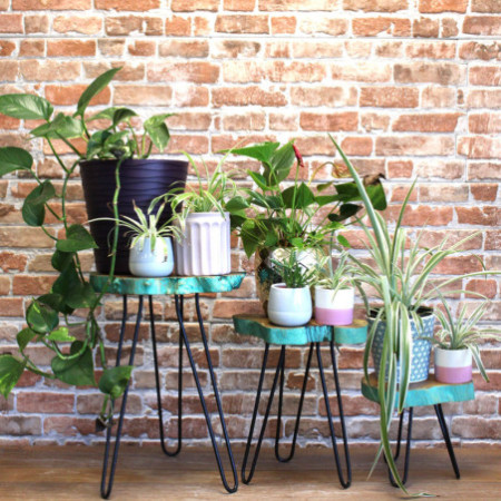 Lot de 3 supports à plantes en bois Gamell - Greenwash