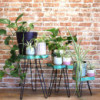 Lot de 3 supports à plantes en bois Gamell - Greenwash