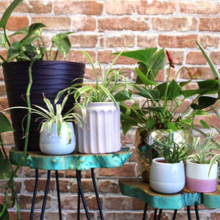 Lot de 3 supports à plantes en bois Gamell - Greenwash