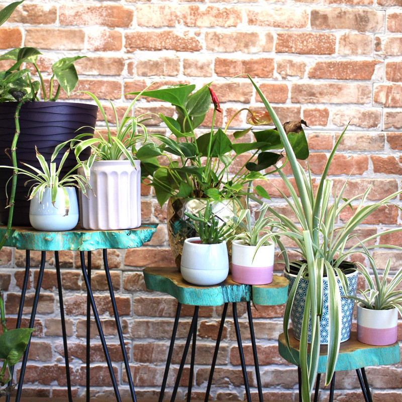 Lot de 3 supports à plantes en bois Gamell - Greenwash